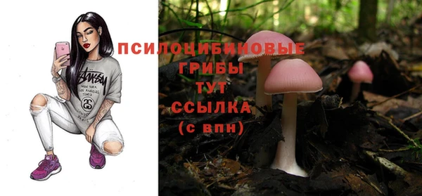 дурь Козловка