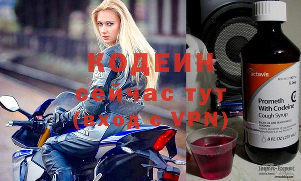 мдпв Кодинск
