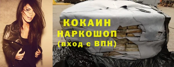 мдпв Кодинск