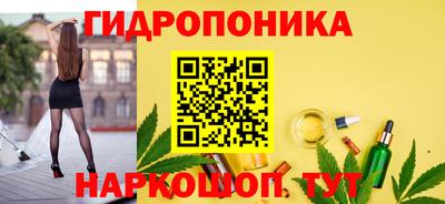 ГАЛЛЮЦИНОГЕННЫЕ ГРИБЫ Берёзовский