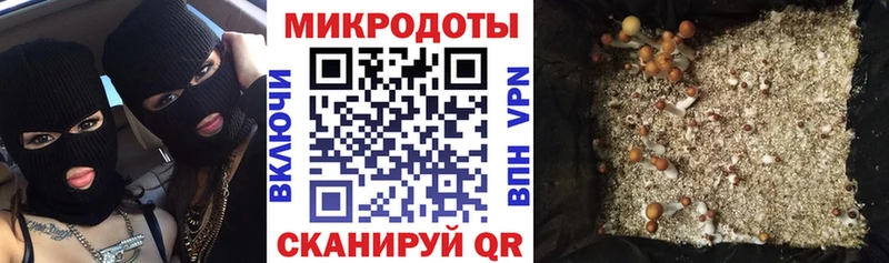 где продают наркотики  Волгодонск  Галлюциногенные грибы прущие грибы 