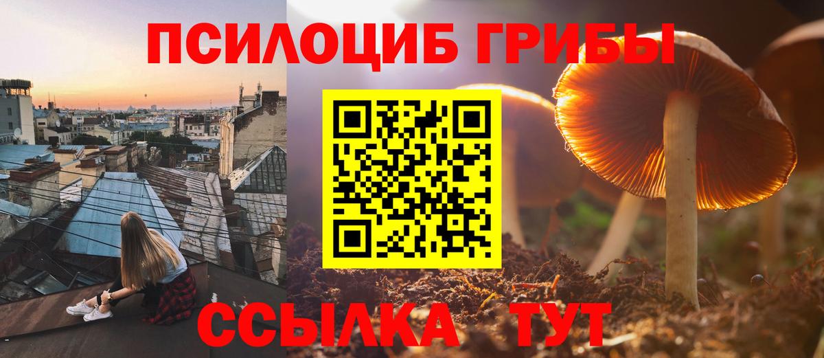 Псилоцибиновые грибы GOLDEN TEACHER  Волгодонск 